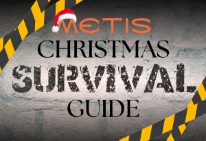 ELF: The Factual Documentary That Taught Us Everything We Know About Christmas Prep