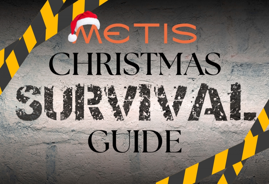 ELF: The Factual Documentary That Taught Us Everything We Know About Christmas Prep